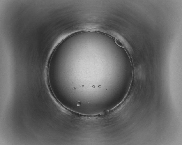 X0000111351432200907101200
