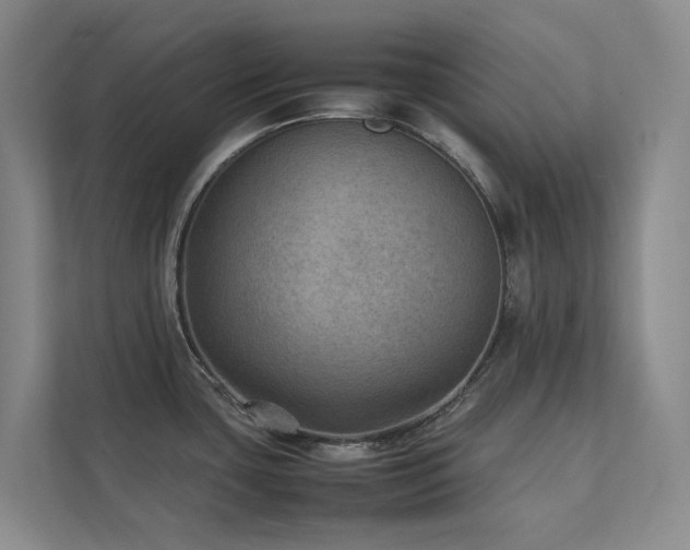 X0000111351435200907101200