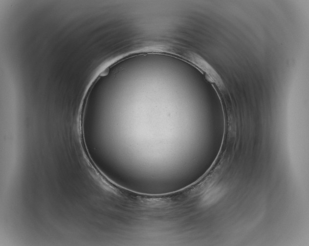 X0000111351436200907101200