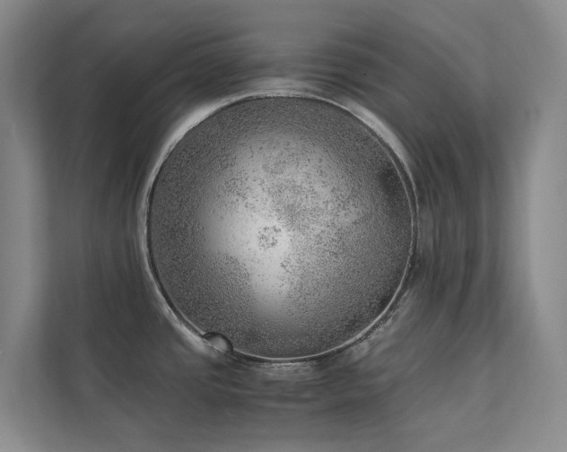 X0000111351437200907101200