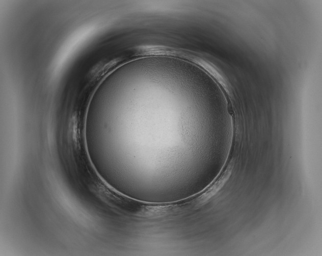 X0000111351438200907101200