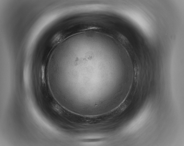 X0000111351439200907101200