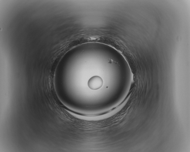 X0000111351442200907101200