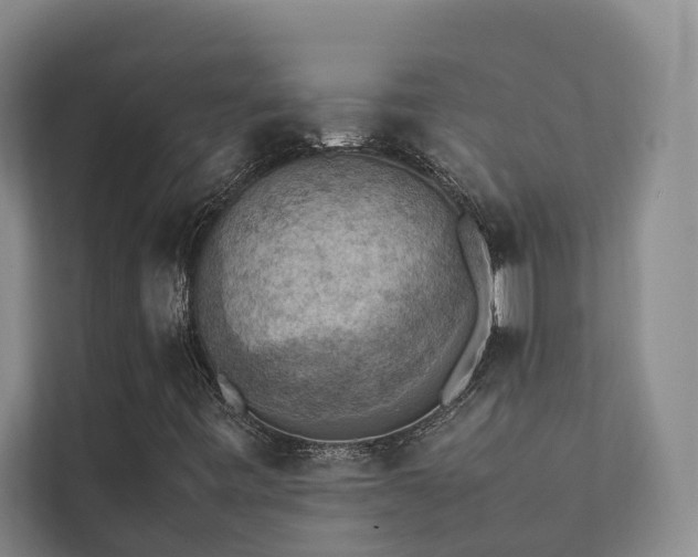 X0000111351443200907101200