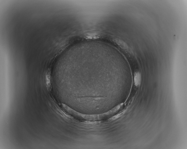X0000111351444200907101200