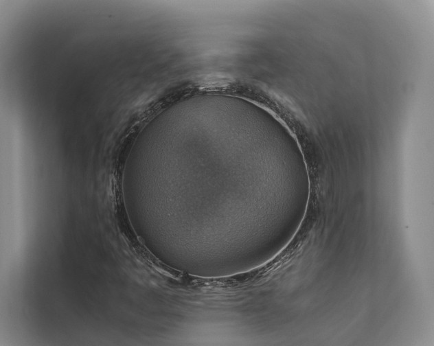 X0000111351445200907101200