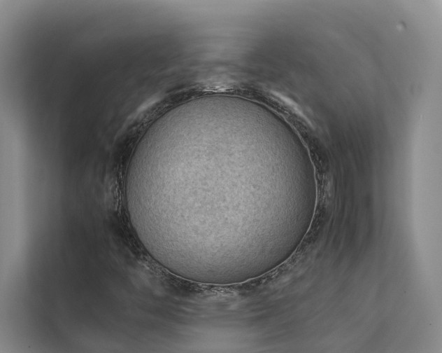 X0000111351446200907101200