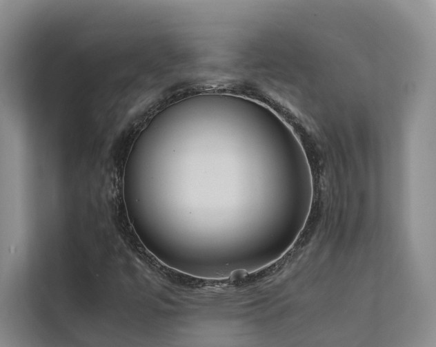 X0000111351447200907101200