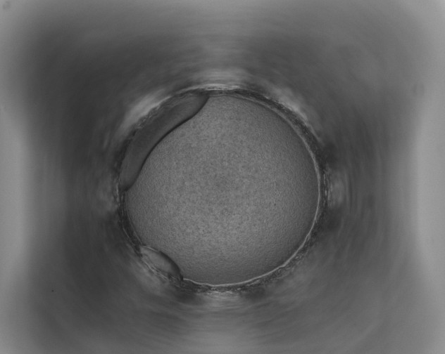 X0000111351448200907101159