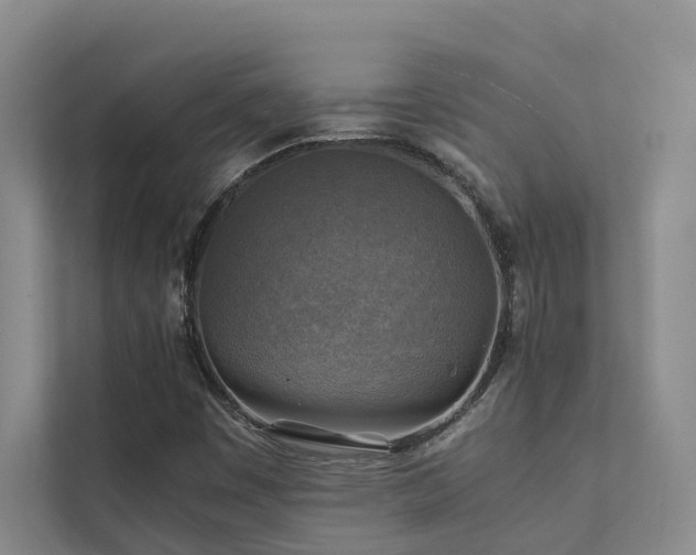 X0000111351449200907101159