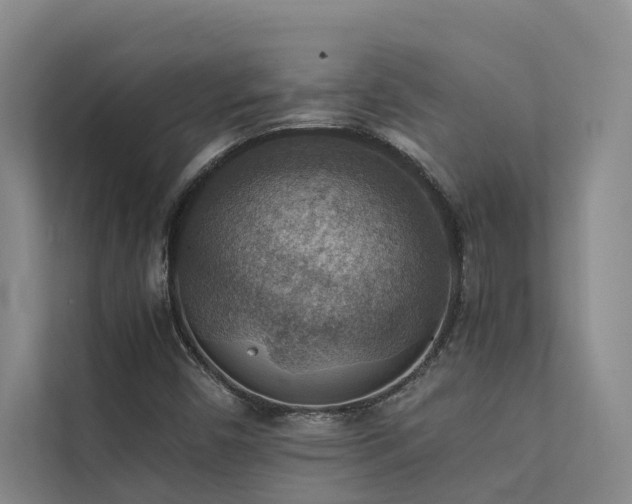 X0000111351450200907101159