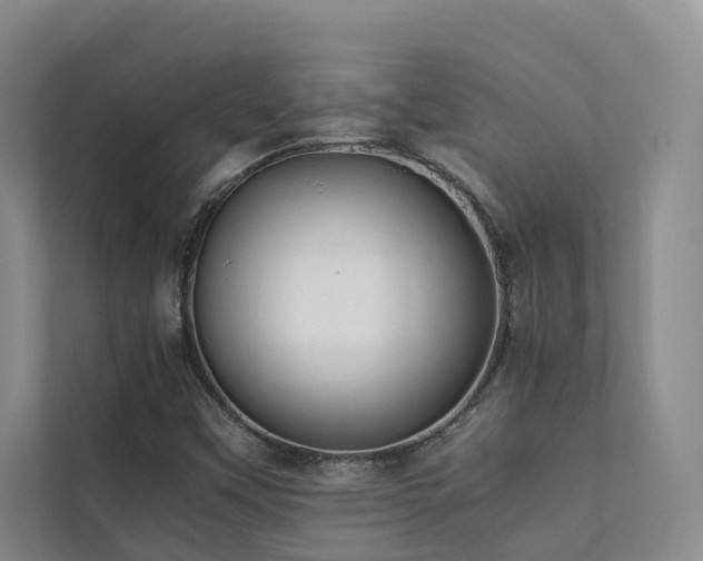 X0000111351451200907101159