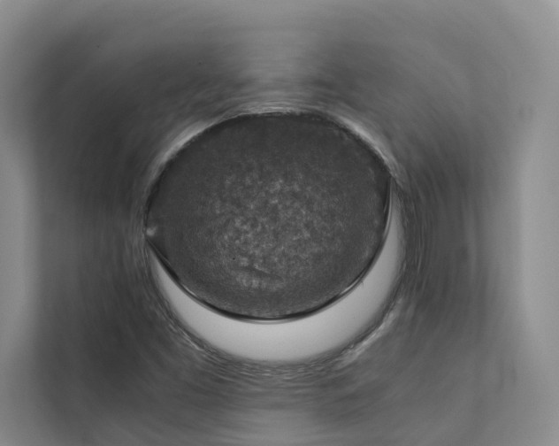 X0000111351453200907101159