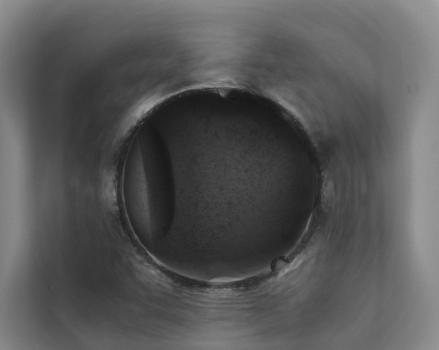 X0000111351455200907101159