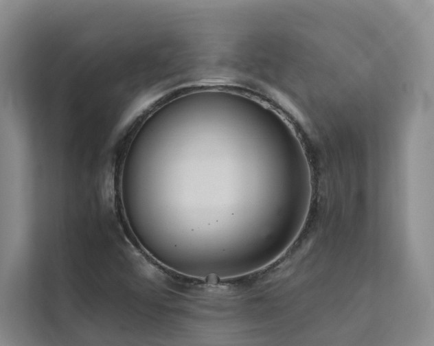 X0000111351456200907101159