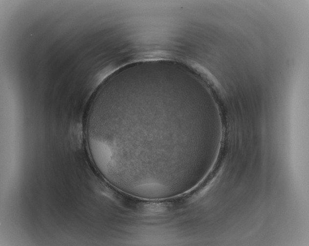 X0000111351457200907101159