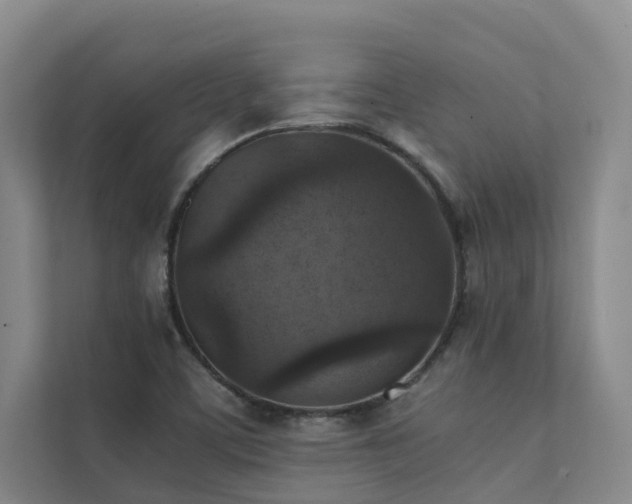 X0000111351459200907101159