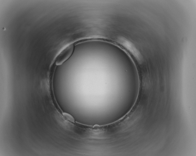 X0000111351460200907101159