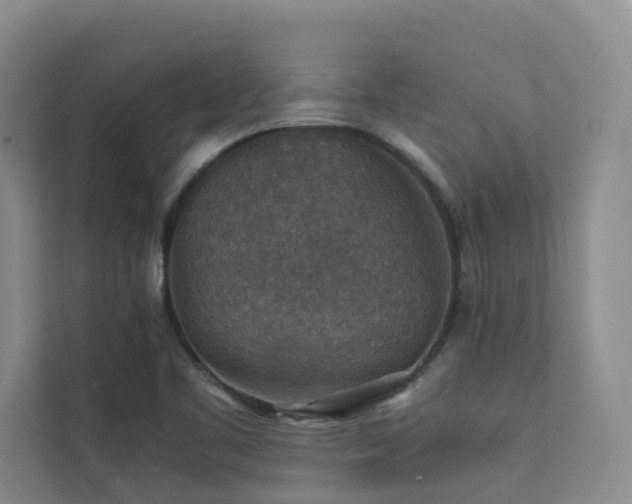 X0000111351461200907101159