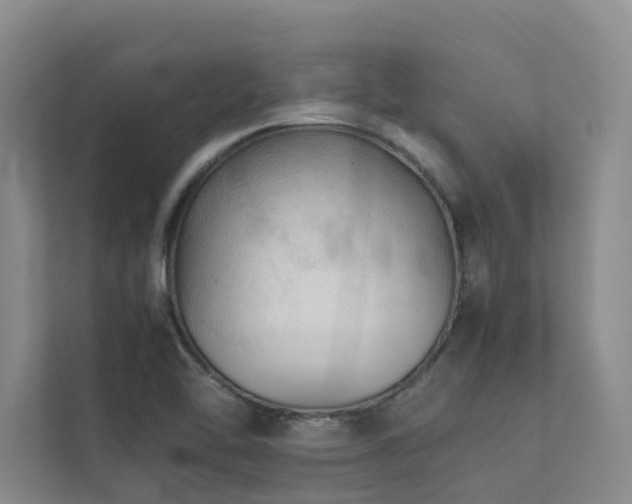 X0000111351462200907101159