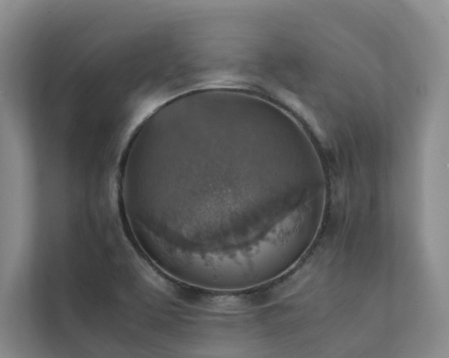 X0000111351463200907101159