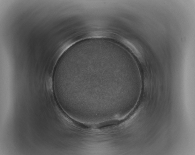 X0000111351465200907101159