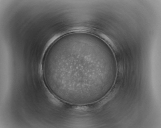 X0000111351466200907101159