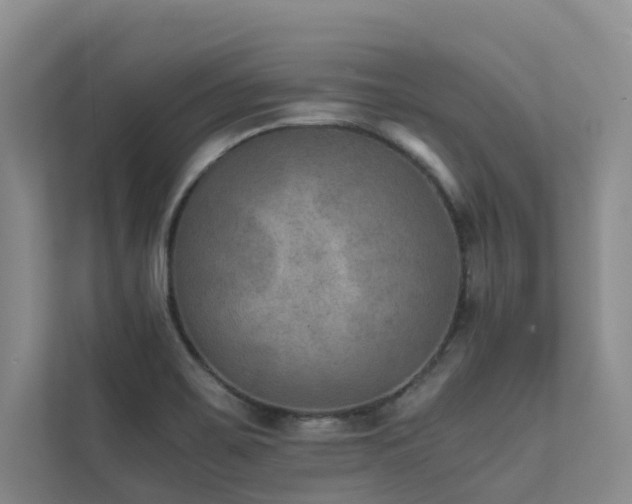 X0000111351467200907101159