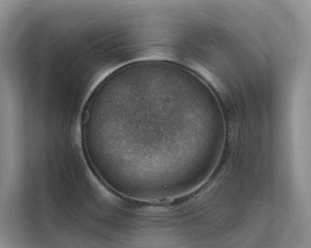 X0000111351468200907101159