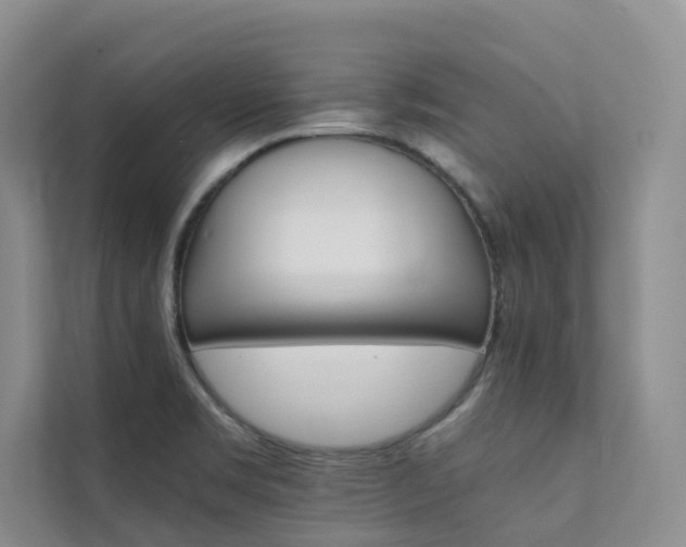 X0000111351469200907101159