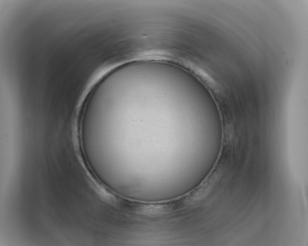 X0000111351470200907101159