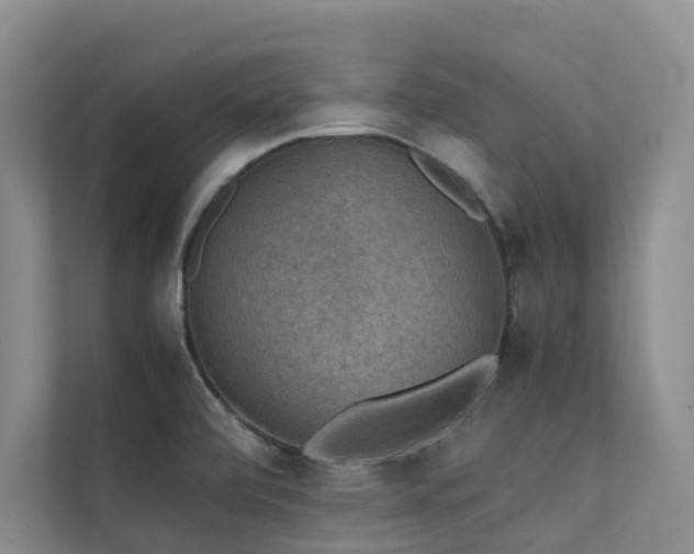 X0000111351472200907101159