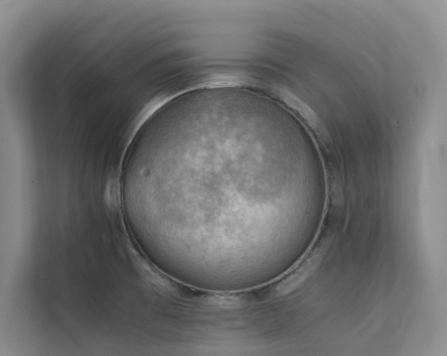 X0000111351473200907101159