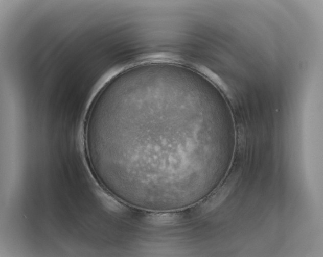 X0000111351474200907101159