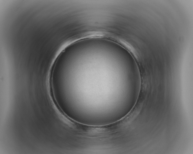 X0000111351475200907101159