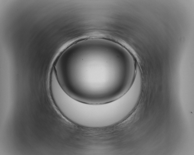 X0000111351477200907101159