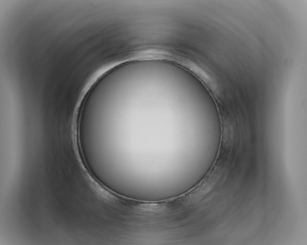 X0000111351478200907101159