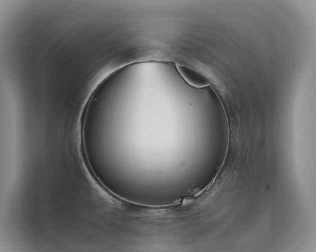 X0000111351479200907101159