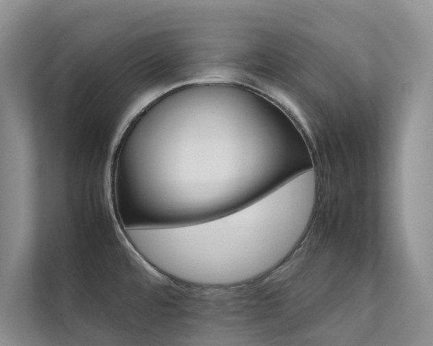 X0000111351480200907101159