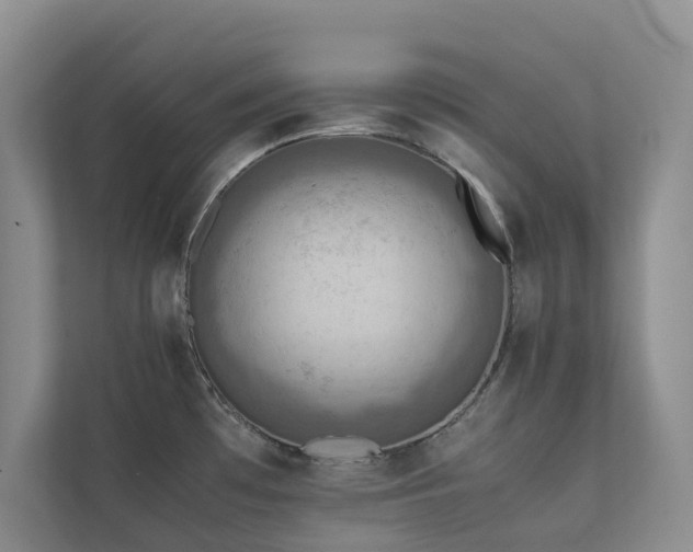 X0000111351481200907101159