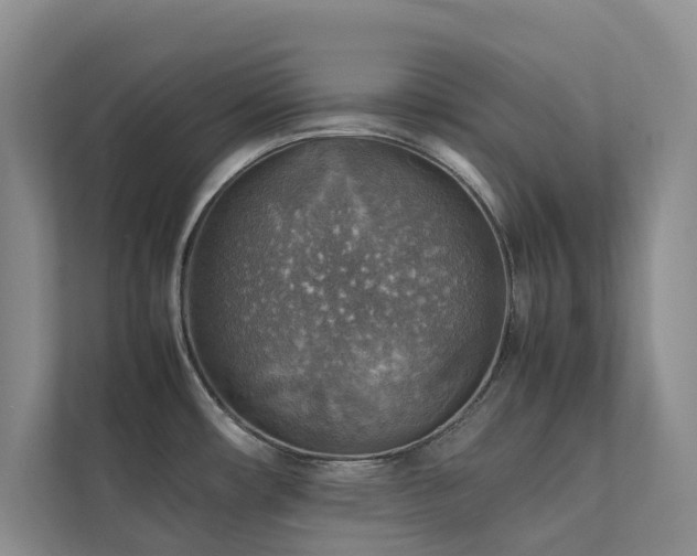 X0000111351482200907101159