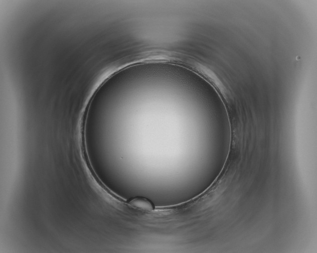 X0000111351483200907101159