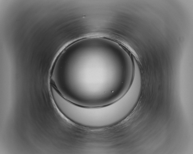 X0000111351484200907101159