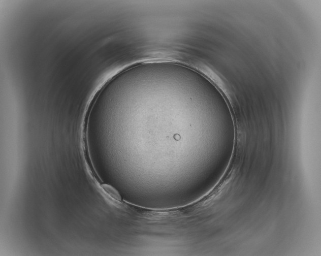 X0000111351485200907101159
