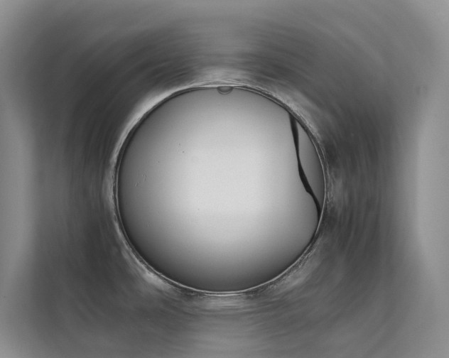 X0000111351486200907101159