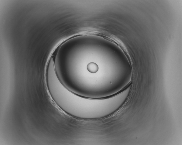 X0000111351488200907101159