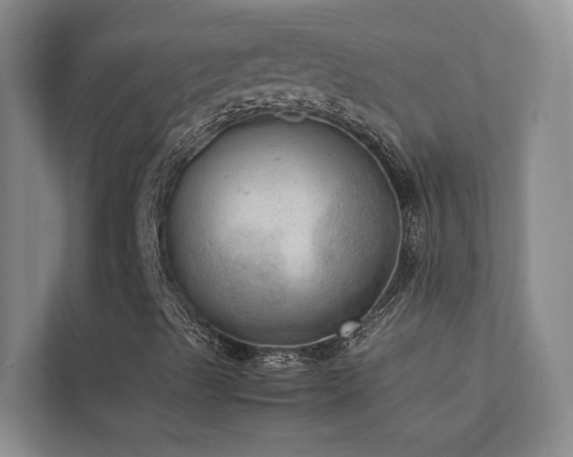 X0000111351489200907101158