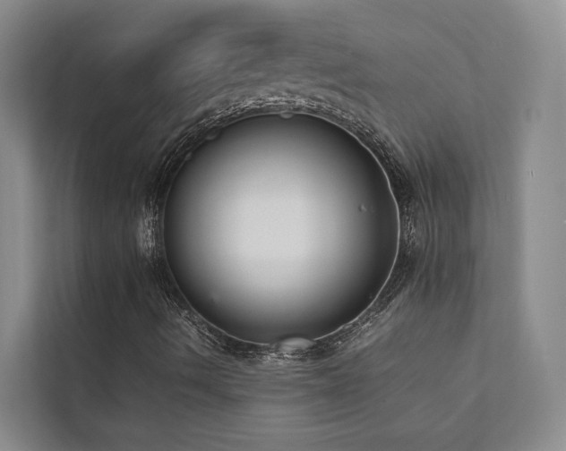 X0000111351490200907101158