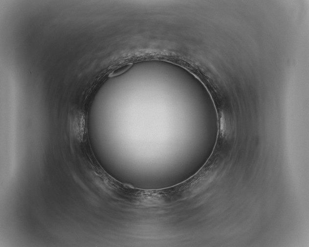 X0000111351492200907101158