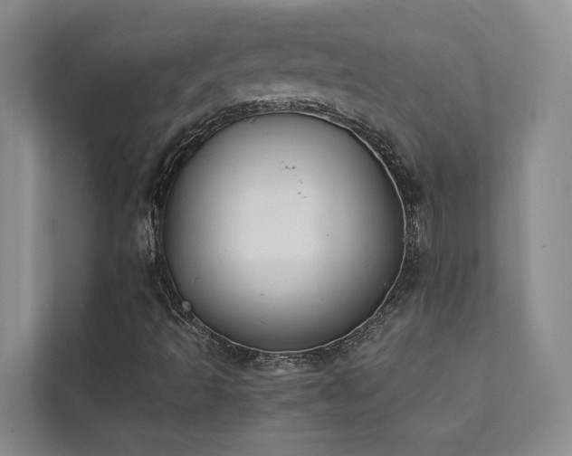 X0000111351493200907101158